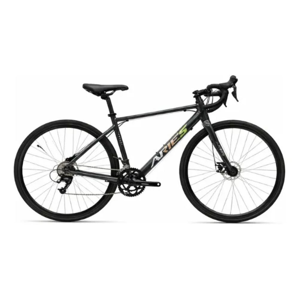 Bicicleta Aries JOE-004