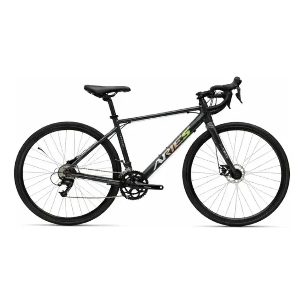 Bicicleta Aries Aluminio JOE-004
