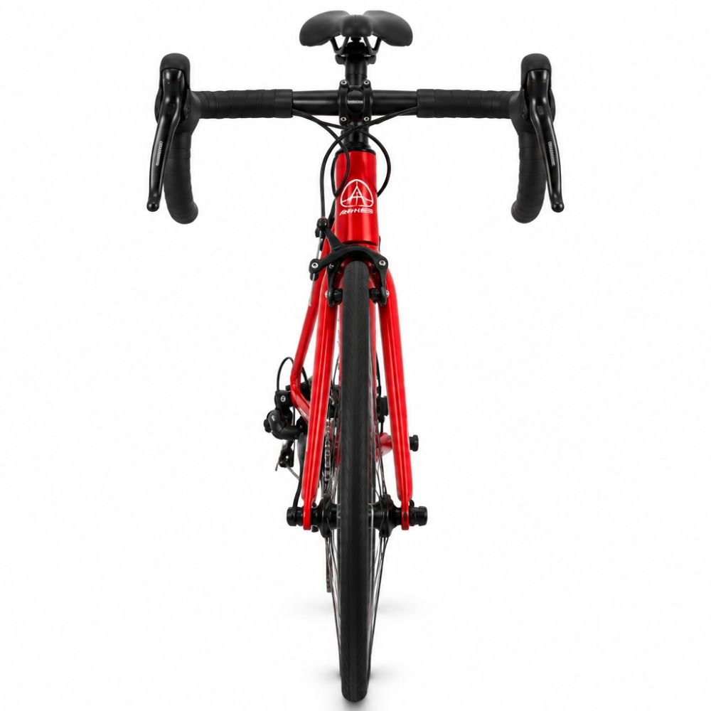 Bicicleta Aries JOE-003