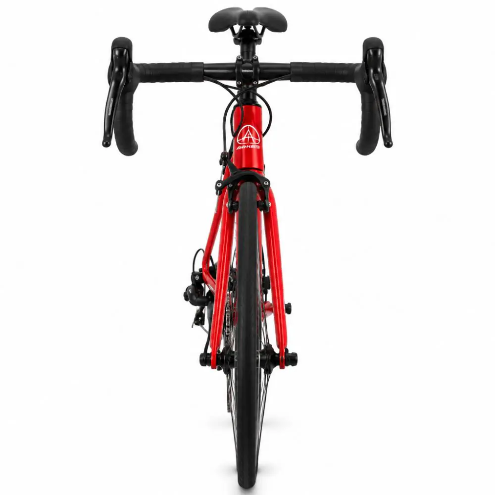 Bicicleta Aries Aluminio JOE-003