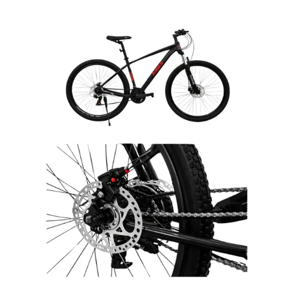 Bicicleta Aries Aluminio Rin 29 JOE-001
