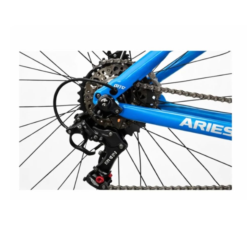 Bicicleta Aries Acero Rin 29