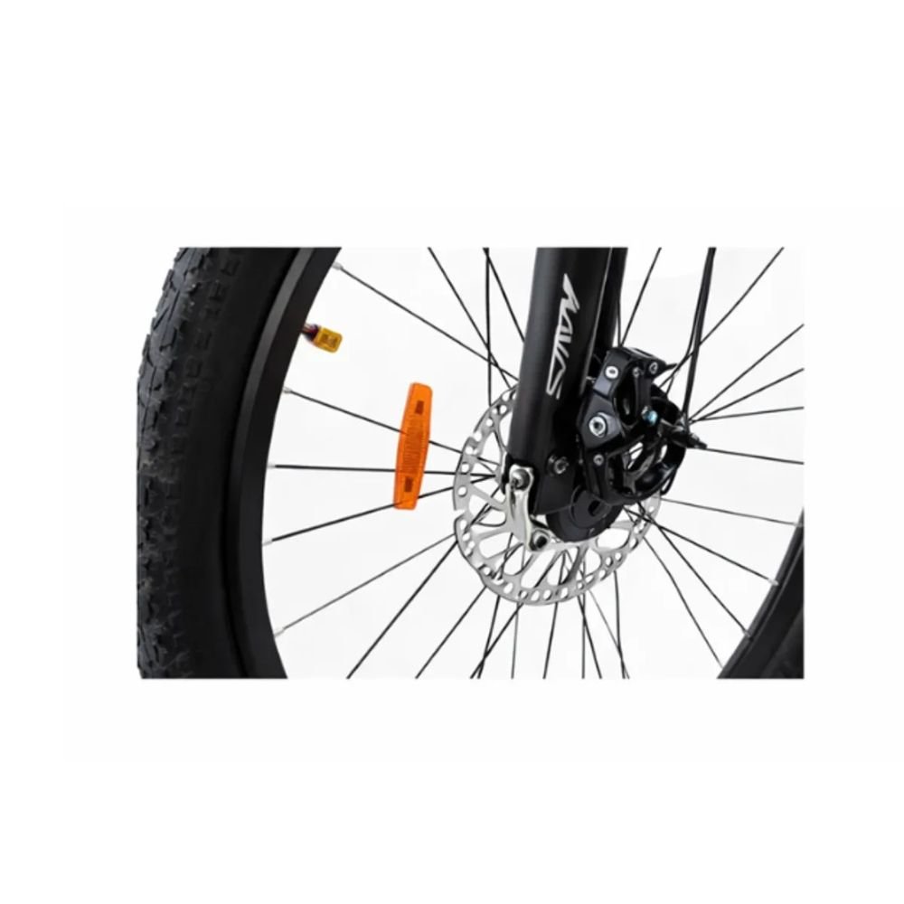 Bicicleta Aries Acero Rin 29