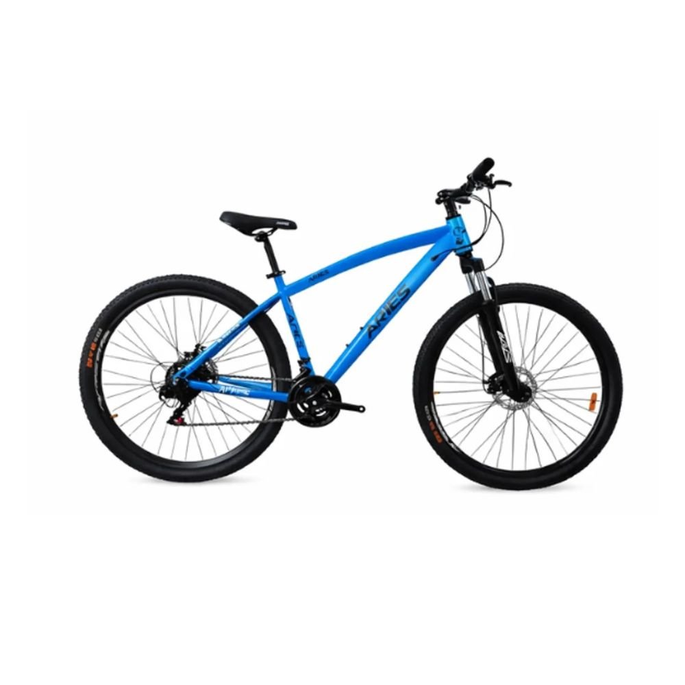 Bicicleta Aries Acero Rin 29